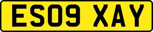 ES09XAY