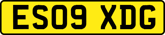 ES09XDG