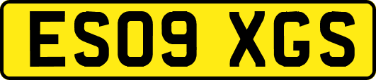 ES09XGS