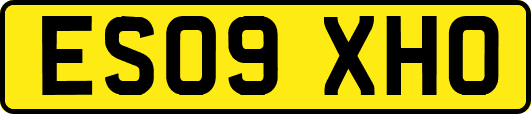 ES09XHO