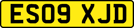 ES09XJD