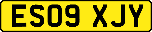 ES09XJY