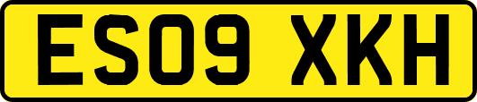 ES09XKH