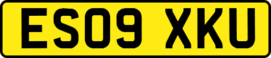 ES09XKU