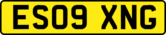 ES09XNG