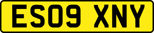 ES09XNY