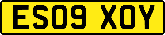 ES09XOY