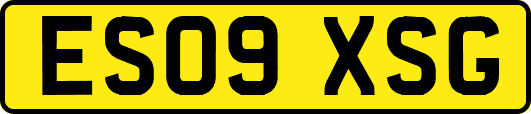 ES09XSG