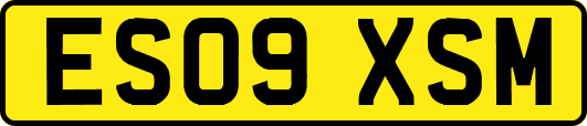 ES09XSM