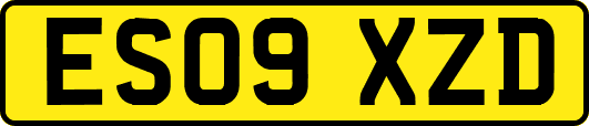 ES09XZD
