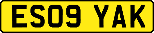 ES09YAK