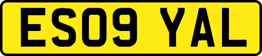 ES09YAL