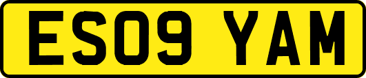 ES09YAM