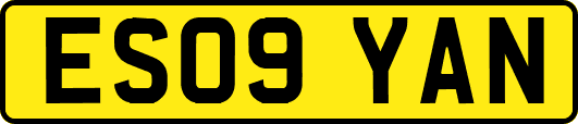 ES09YAN