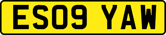 ES09YAW