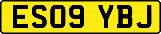 ES09YBJ