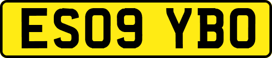 ES09YBO