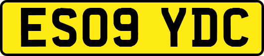 ES09YDC
