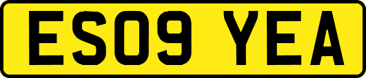 ES09YEA