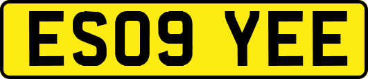 ES09YEE