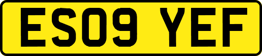 ES09YEF