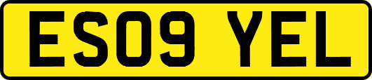 ES09YEL