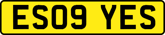 ES09YES