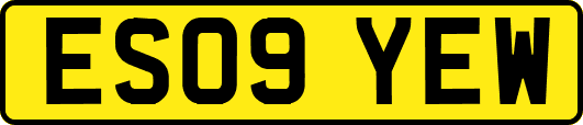 ES09YEW