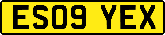 ES09YEX