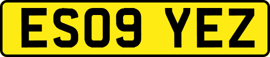 ES09YEZ