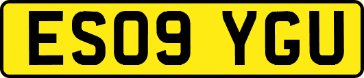 ES09YGU