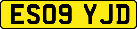 ES09YJD
