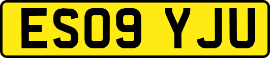 ES09YJU