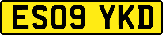 ES09YKD