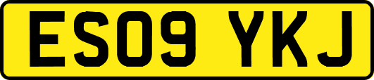 ES09YKJ
