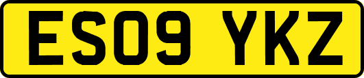 ES09YKZ