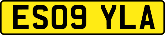 ES09YLA