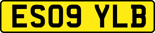 ES09YLB