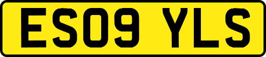 ES09YLS