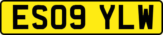 ES09YLW