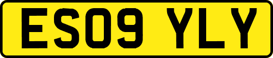 ES09YLY