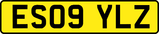 ES09YLZ