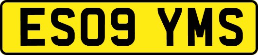 ES09YMS