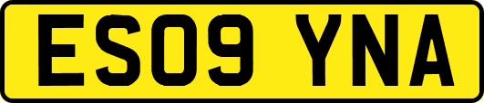 ES09YNA