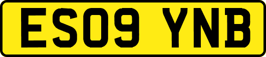 ES09YNB