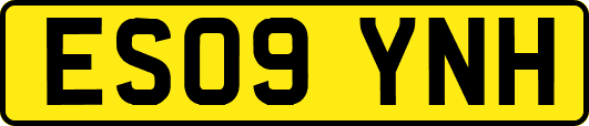 ES09YNH