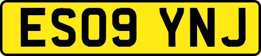 ES09YNJ