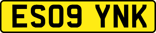 ES09YNK