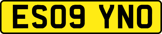 ES09YNO
