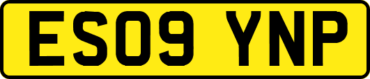 ES09YNP